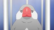 Peeps as seen in the Sasaki and Peeps anime (Image via SILVER LINK.)